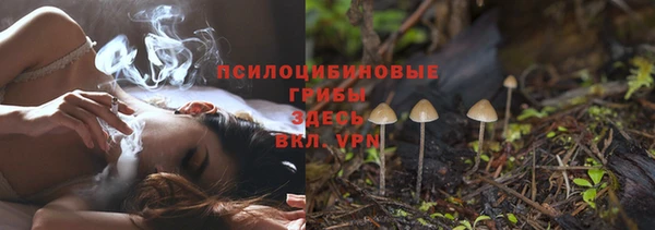 МДПВ Елабуга