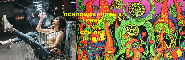 не бодяженный Дмитровск