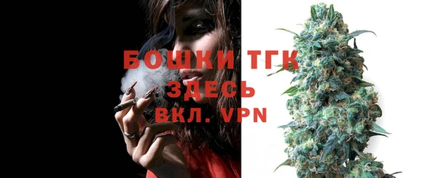 МДПВ Елабуга