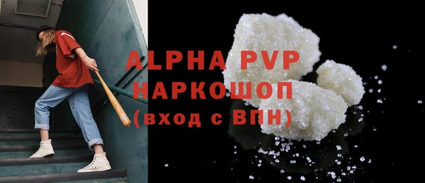 скорость Ельня