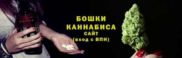 МДПВ Елабуга