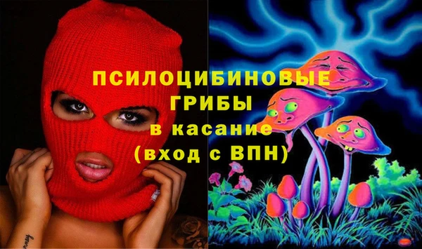 Альфа ПВП Дмитров