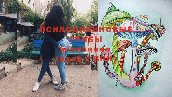 шишки Шарыпово