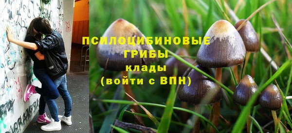 скорость Ельня