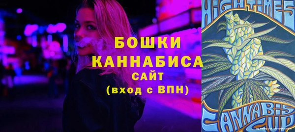 МДПВ Елабуга