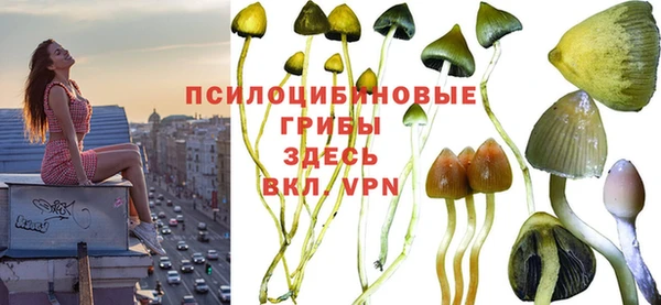 скорость Ельня