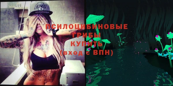 МДПВ Елабуга