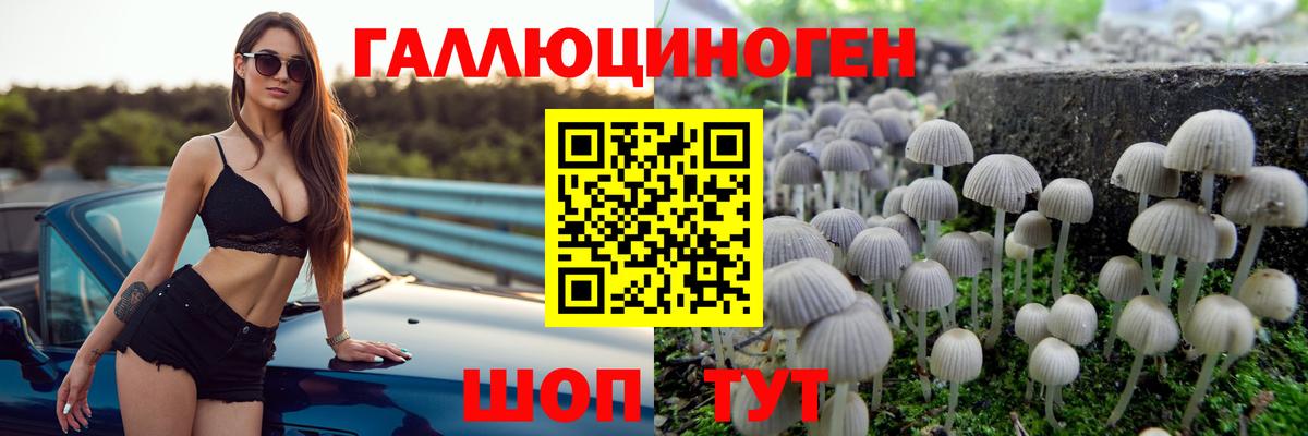 Свободный  Псилоцибиновые грибы Cubensis  Вход с VPN 