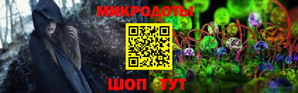 Псилоцибиновые грибы GOLDEN TEACHER Свободный