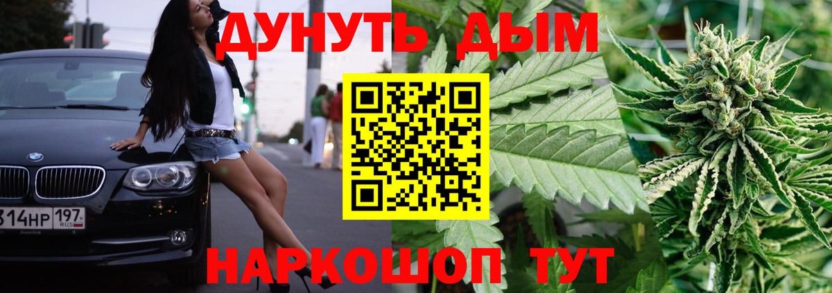 Канабис план  Канабис семена  Вход с VPN  Свободный  МАРИХУАНА Bruce Banner 